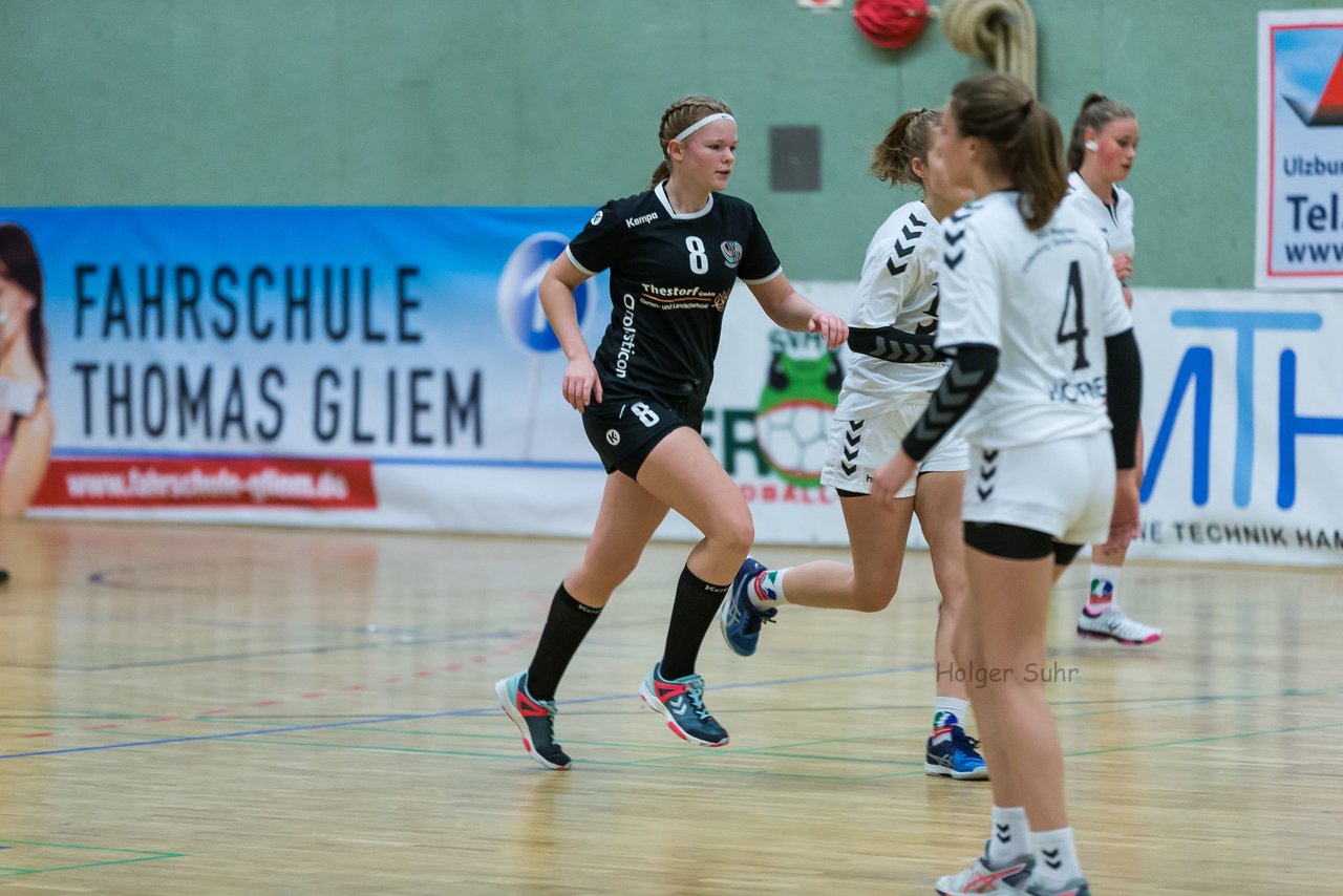 Bild 45 - C-Juniorinnen SVHU - HSD Wagrien : Ergebnis: 30:15